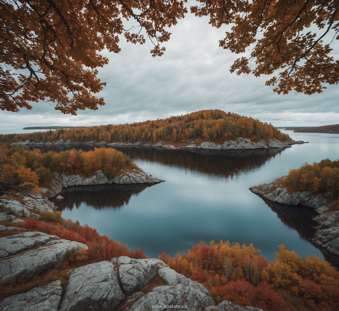一个湖，有一棵树，上面写着“秋天”这个词插图