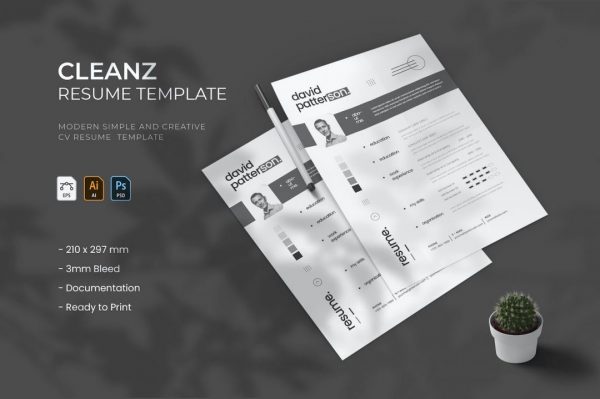 朴素设计风格个人简历模板 Cleanz – Resume