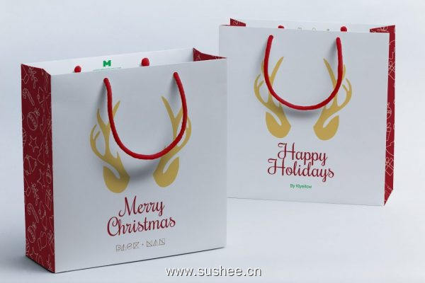 商城品牌专卖店购物纸袋包装设计样机07 Shopping Bag Mockup 07
